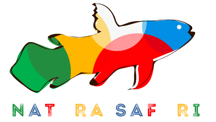 Natura Safari